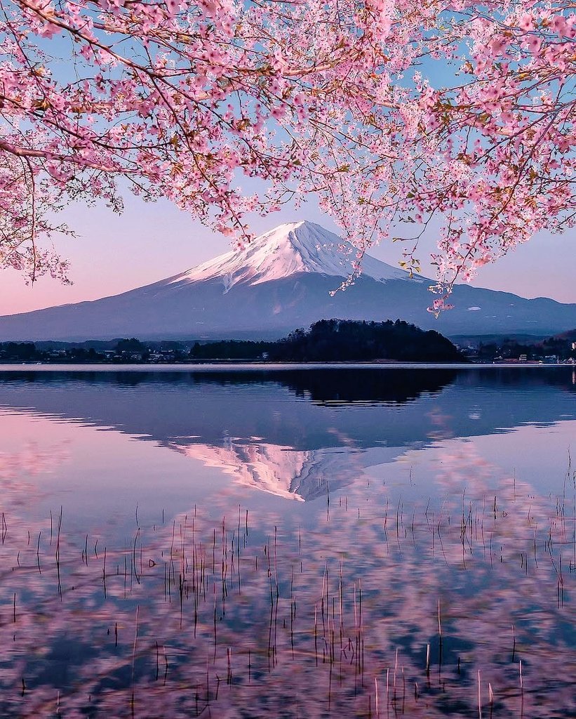 WickedWozza's tweet photo. Mount Fuji, Japan 🇯🇵 https://t.co/j4OFjybd22