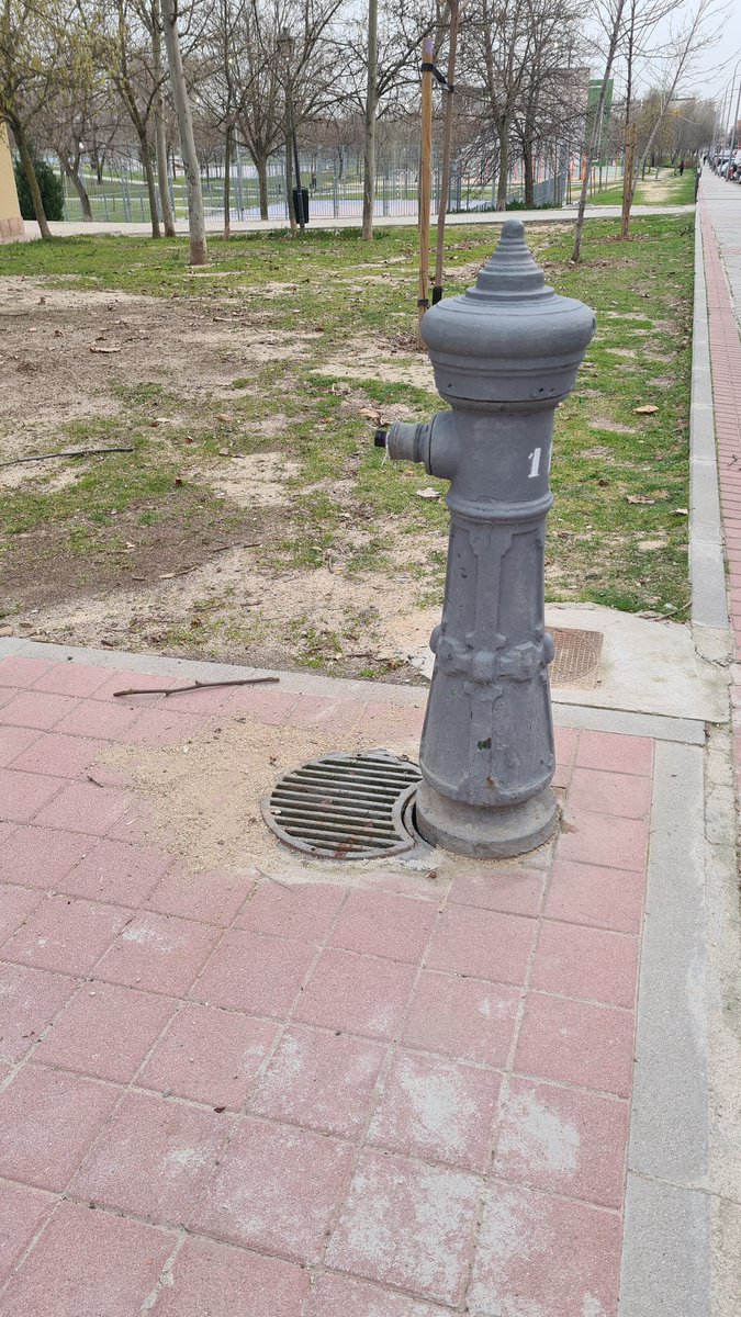 Mora de la fuente tweet media