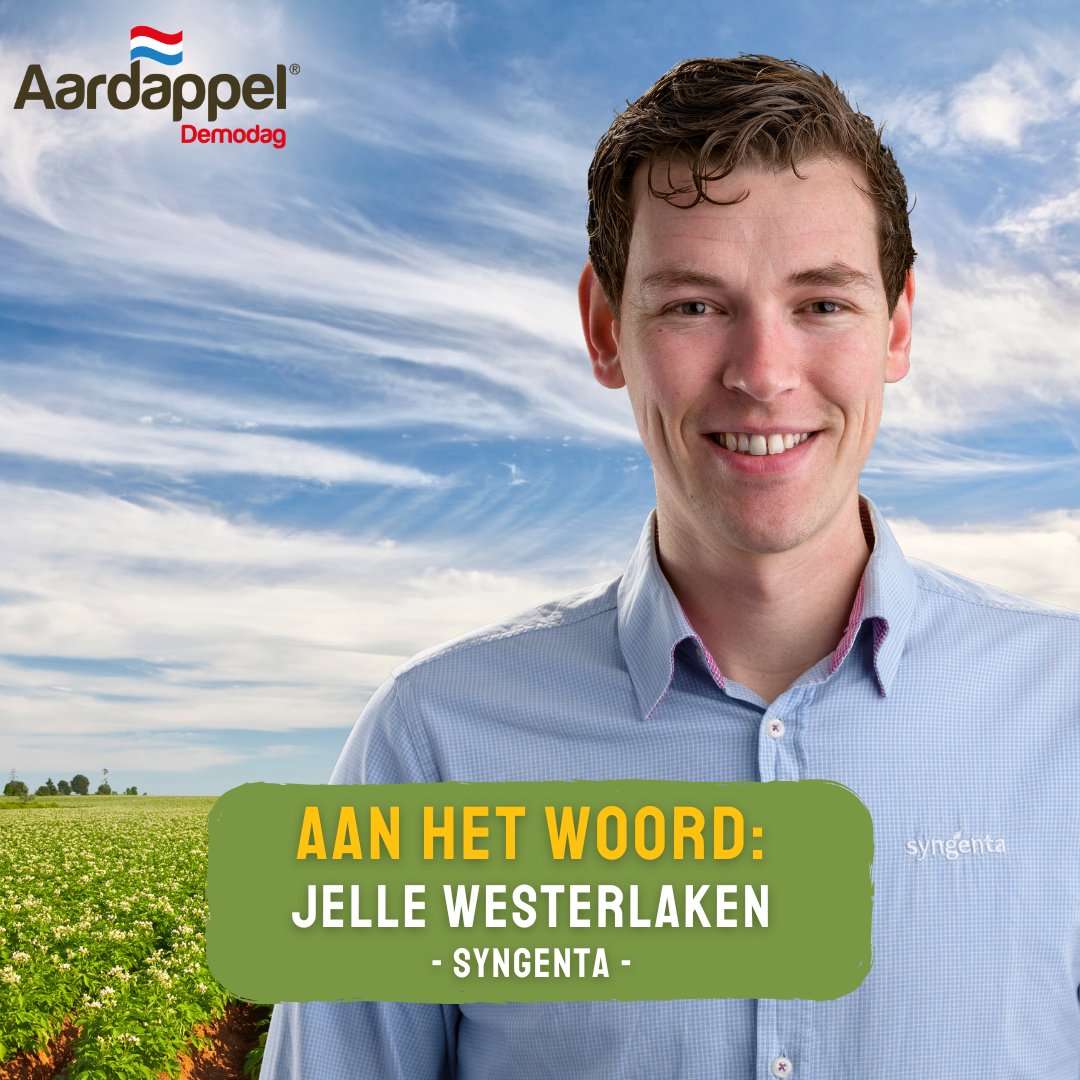 Aardappeldemodag tweet media