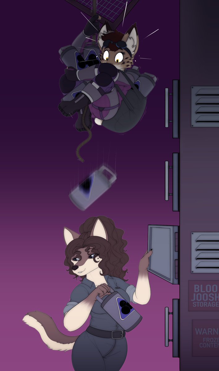 Swatchfodder tweet media