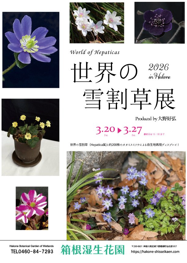 箱根湿生花園 (@shisseikaen) / Posts / X