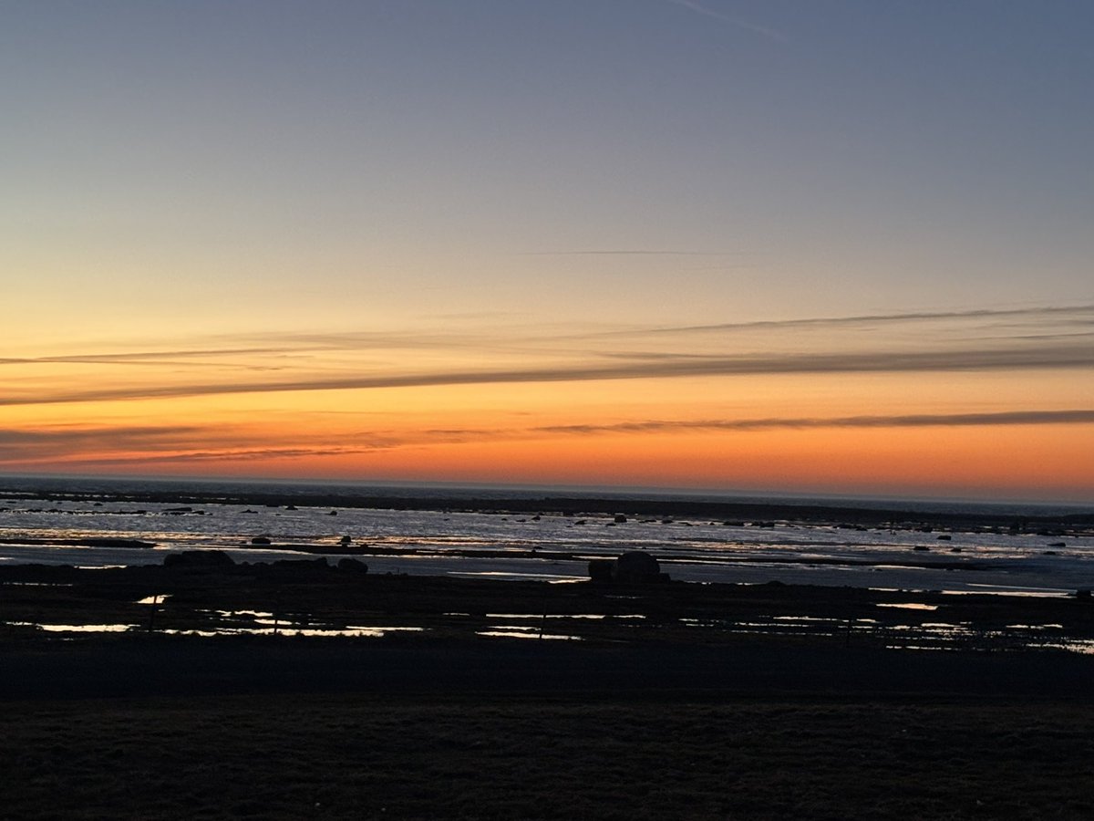 Jan Erlandsson tweet media