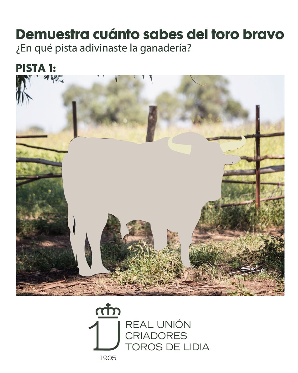 Real Unión de Criadores de Toros de Lidia tweet media