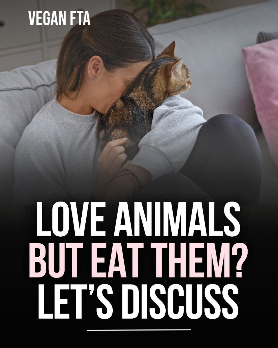 teamveganfta's tweet image. You already love animals.

Connect the dots. 💚🐾

👉 Learn more: veganfta.com/blog/2026/02/2…

#animallover #iloveanimals #animals