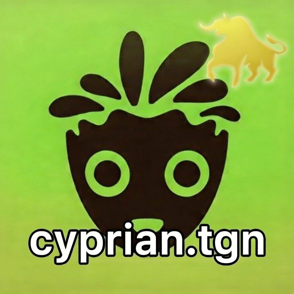 Cyprian.CORE🔶 tweet media