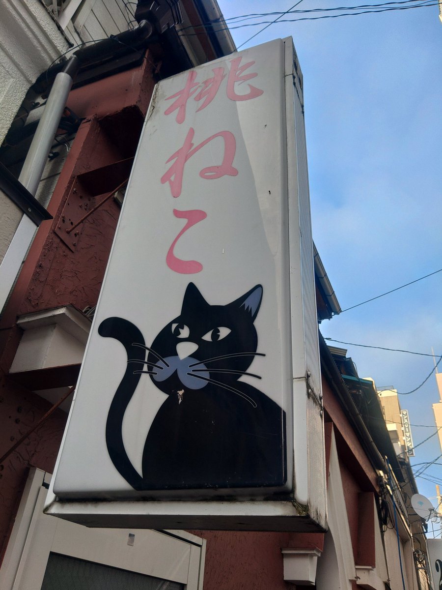 桃ねこto雪風openしました 昨日は落ち着いた営業だと思ったら 電車大変