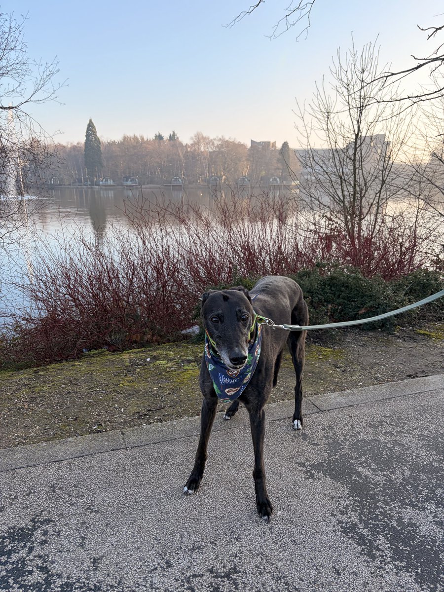 Duke 💙 tweet media