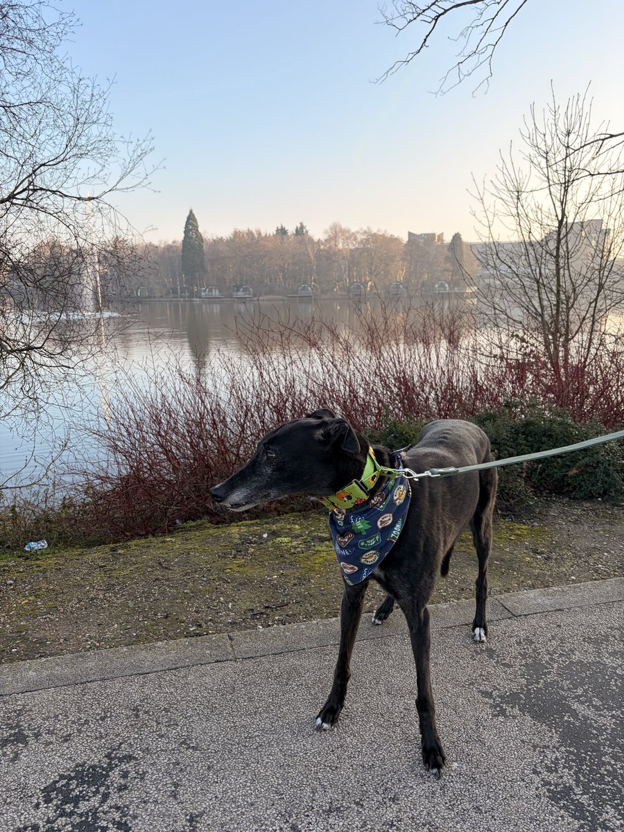 Duke 💙 tweet media