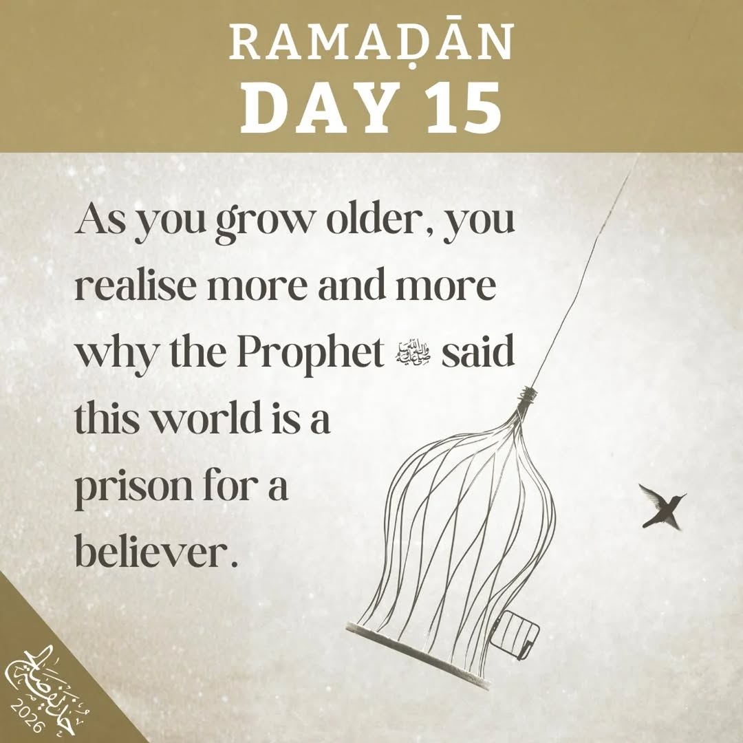 akram3241's tweet photo. https://t.co/wVdHxrYUv6