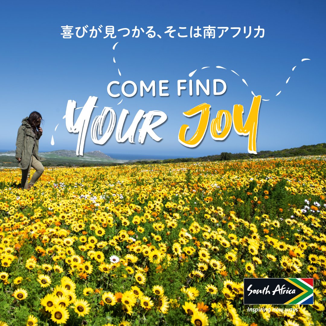 南アフリカ観光局 tweet media