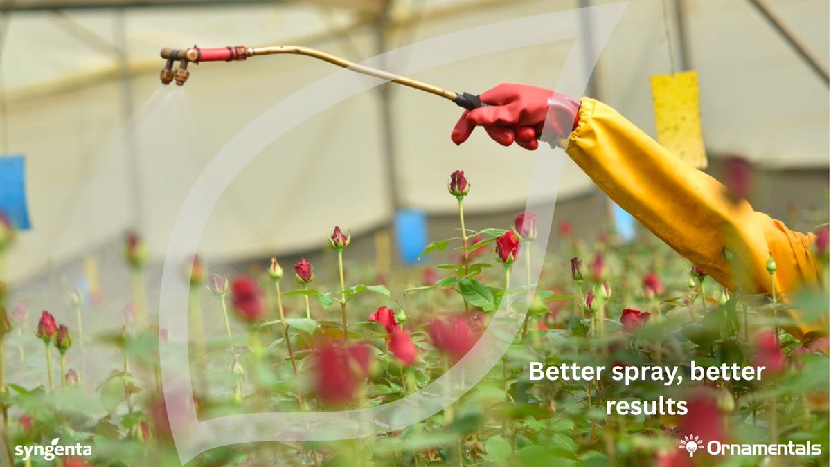 SyngentaOCKE's tweet image. Water quality affects everything. 
Visit our Expert Centre for more information on application technology. syngentaornamentals.co.ke/expert-centre-…

#SprayTech #Ornamentals #EveryFlowerCounts