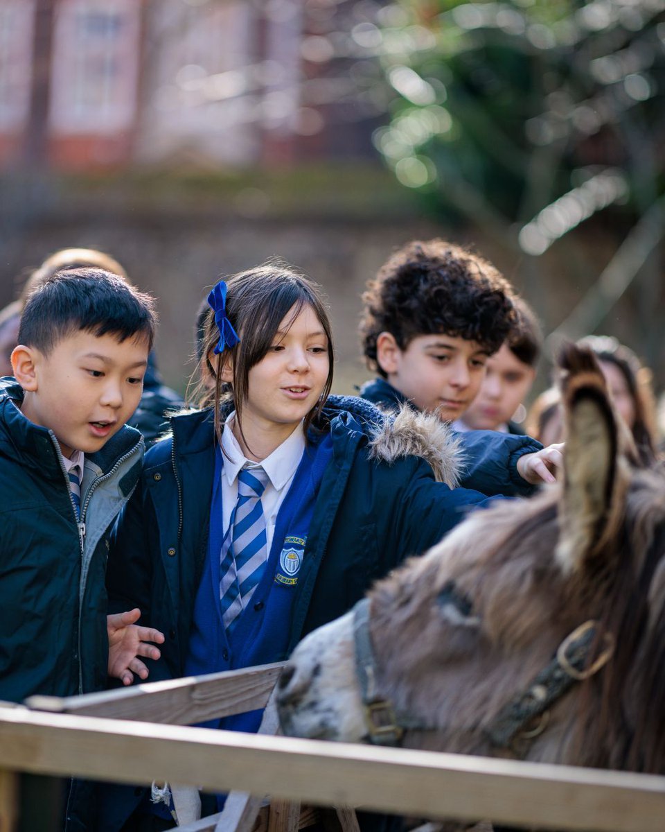 Wintershall Play tweet media