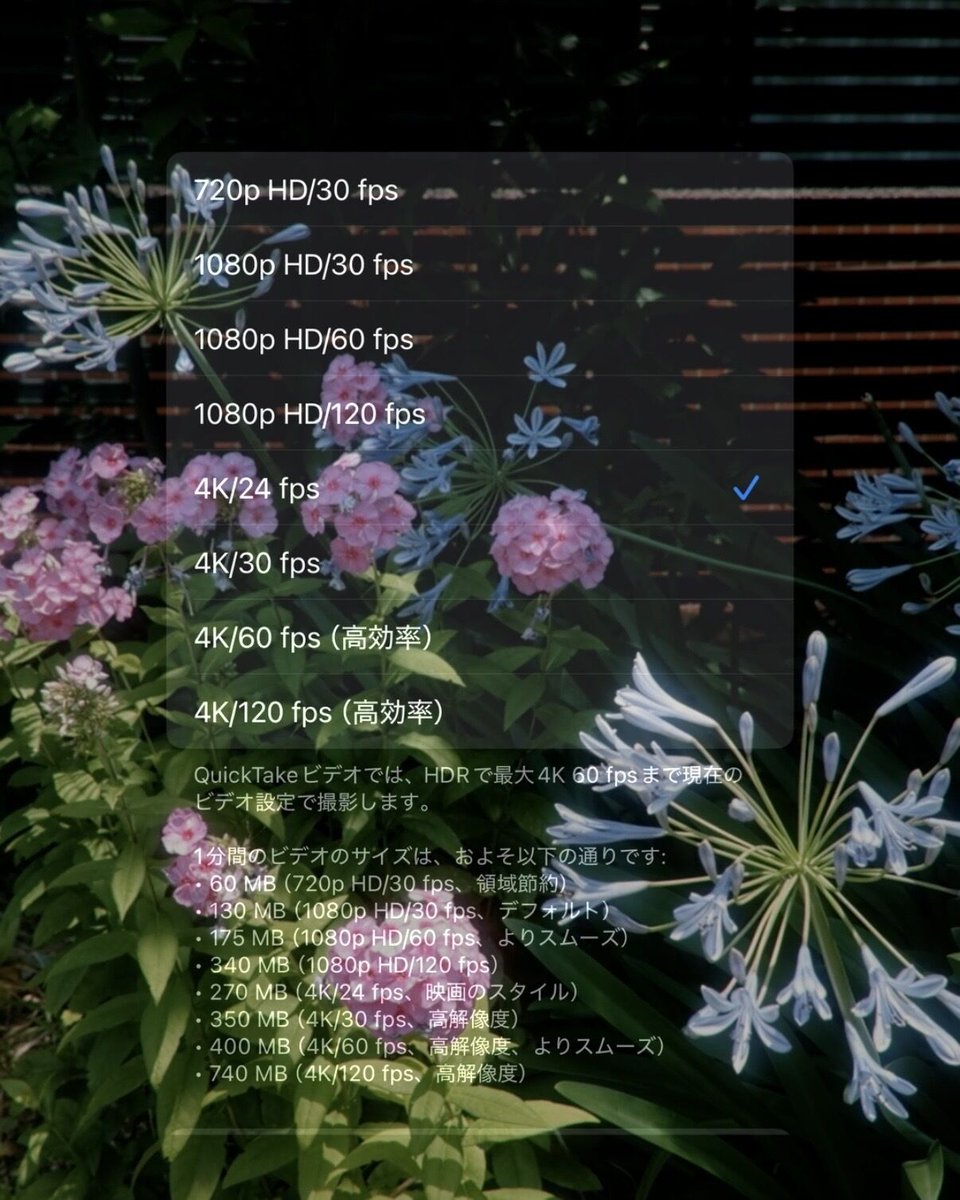 iPhoneで映像撮る人。 tweet media