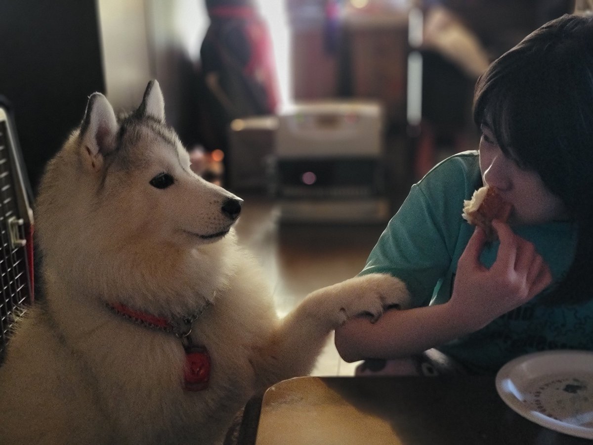 けい子ママ tweet media