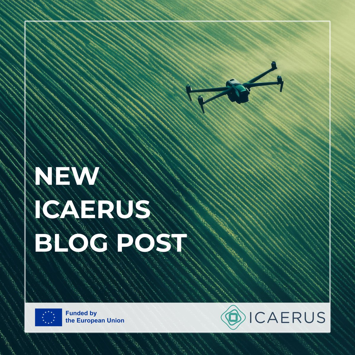 ICAERUS tweet media