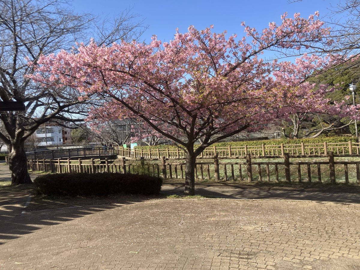 ワールドインテックさいたま市都市公園【公式】 tweet media
