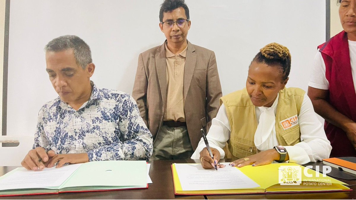 International Potato Center tweet media