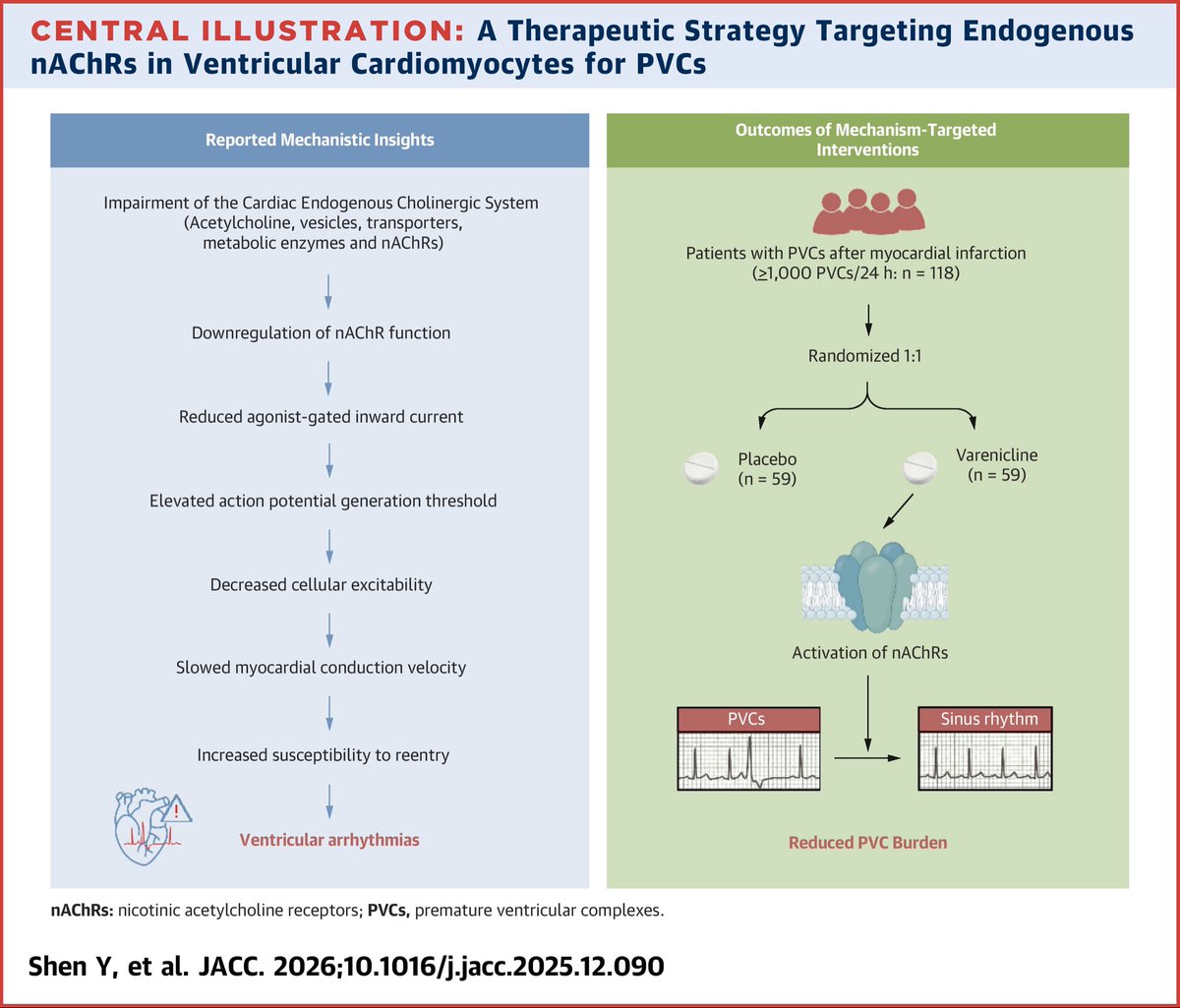 Ahmed Bennis MD 🫀 tweet media
