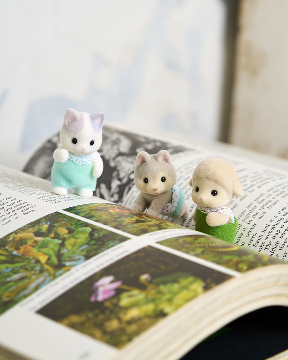 シルバニアファミリー【公式】 (@SylvanianJP) / Posts / X