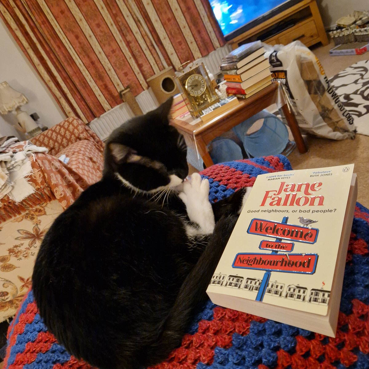 IOW_Lass's tweet photo. @Malcolm_theCat Well done Malcolm (&amp; mum). I've chosen a book for my servant to read to me 😹 https://t.co/2sREPCnozQ