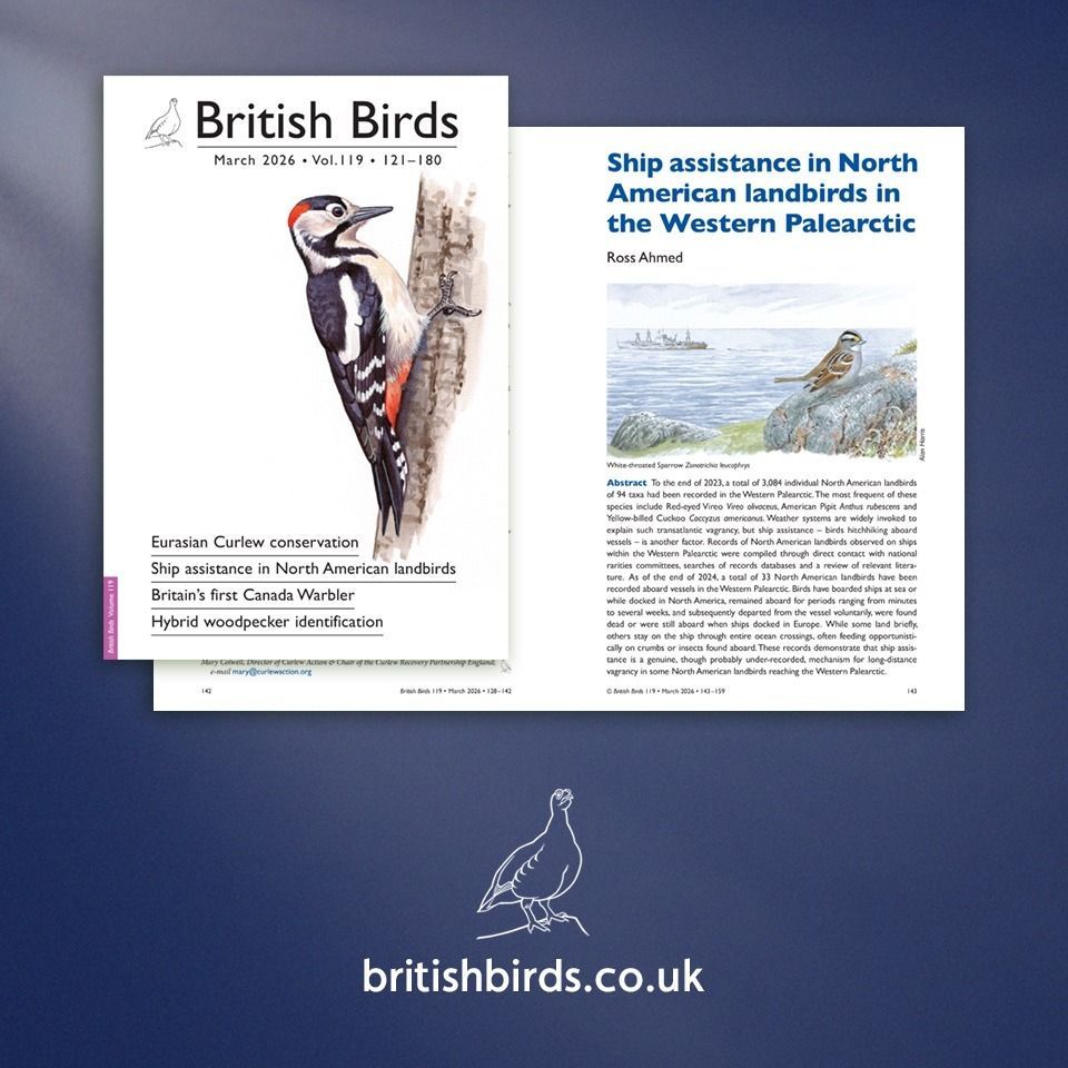 British Birds tweet media