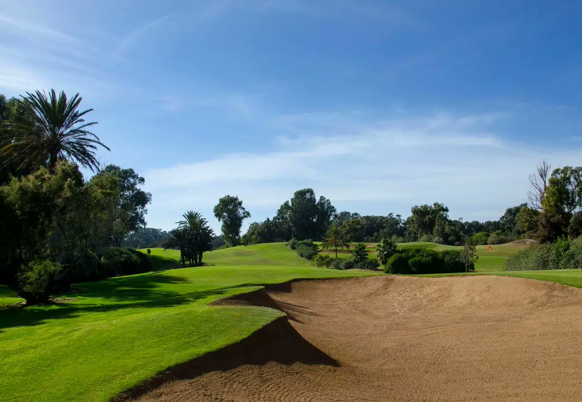 A Golfing Experience tweet media