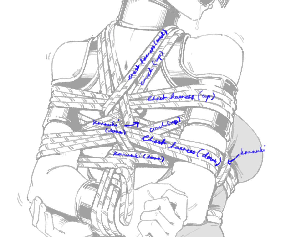 Not a guide on how to tie someone, but rather how I emulate a takate-kote. Best way to do it is to watch takate-kote tutorials on Youtube and sketch each parts step by steps according to the tutorial.