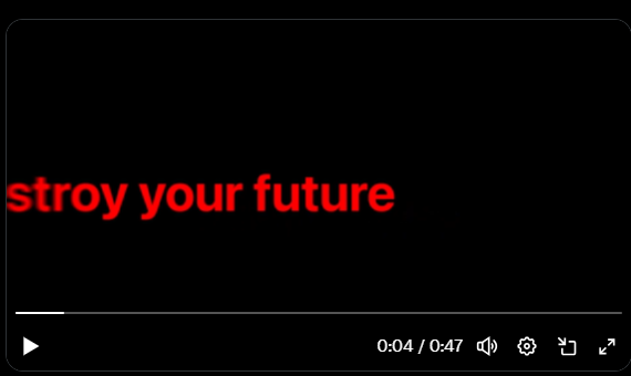 Barry Wang | Video Editor tweet media