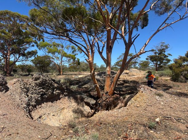 The London Bitcoin Company tweet media