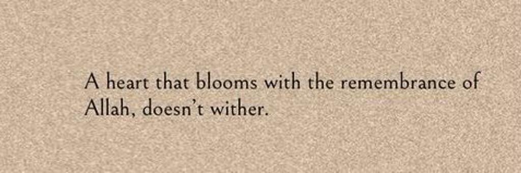 You might educate someone, don’t forget to repost.🤍