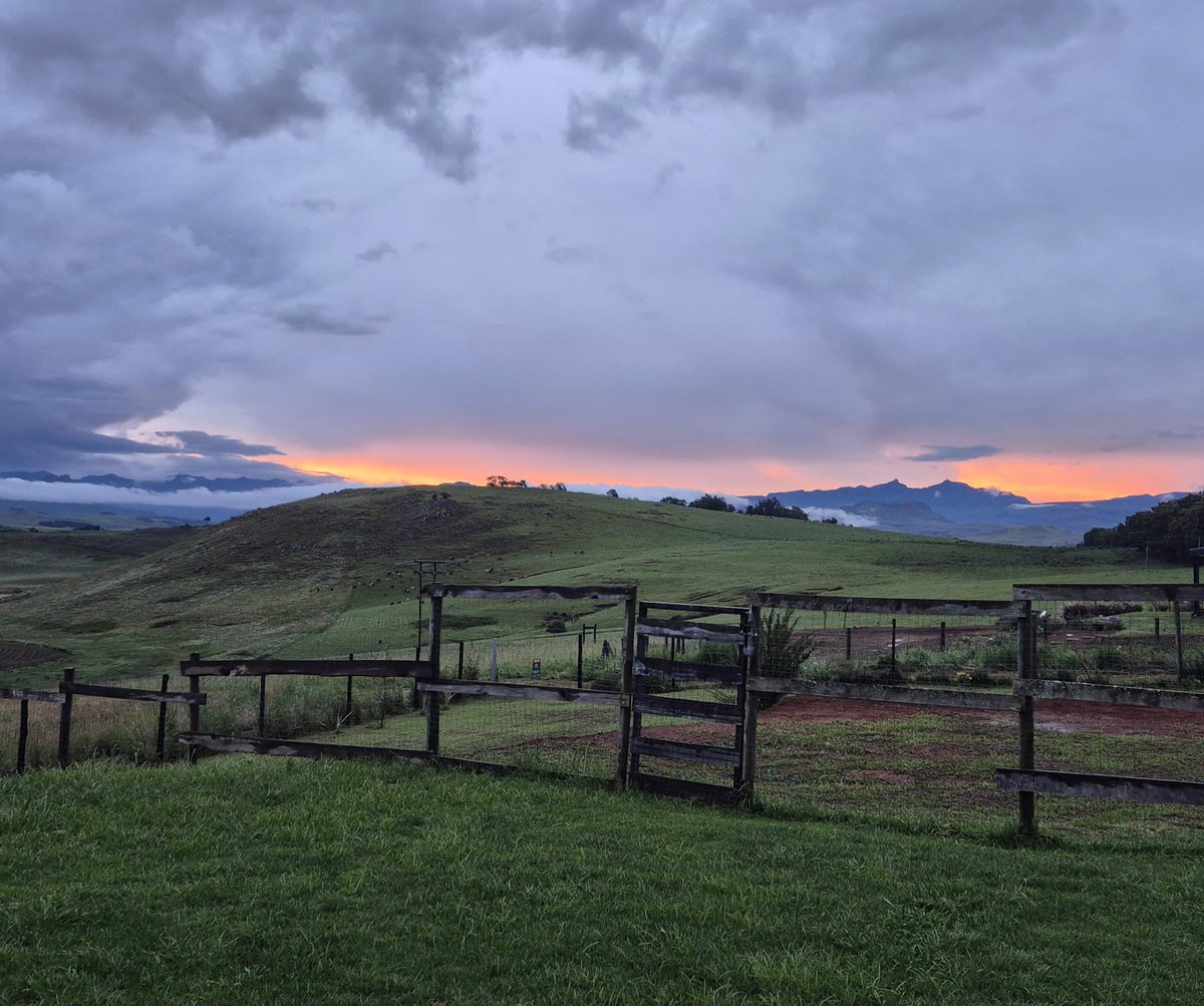 WildlifeACT tweet media