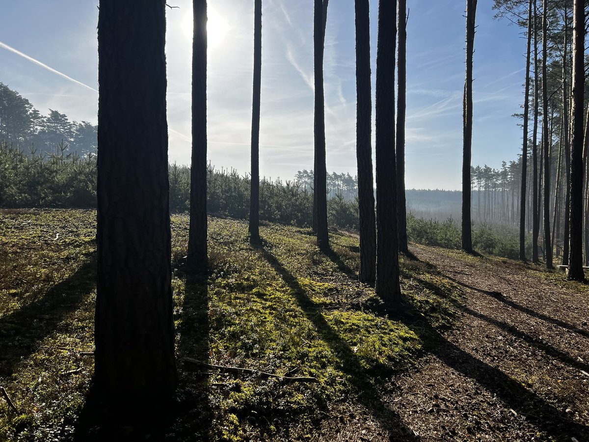 Dr Smus 🇵🇱 🇺🇸 venture builder block alliance tweet media