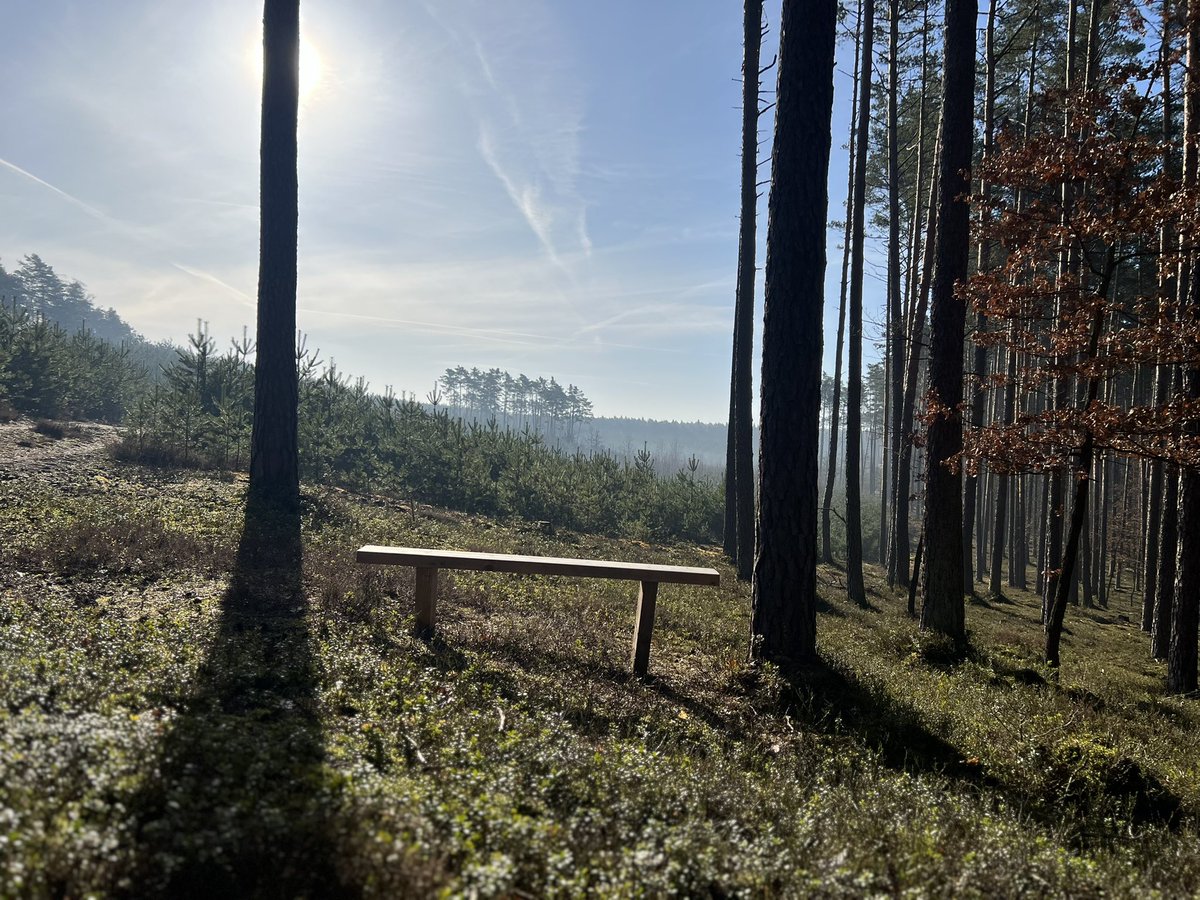 Dr Smus 🇵🇱 🇺🇸 venture builder block alliance tweet media