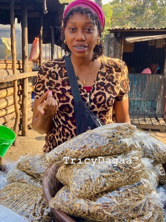 TricyLove🦁 tweet media