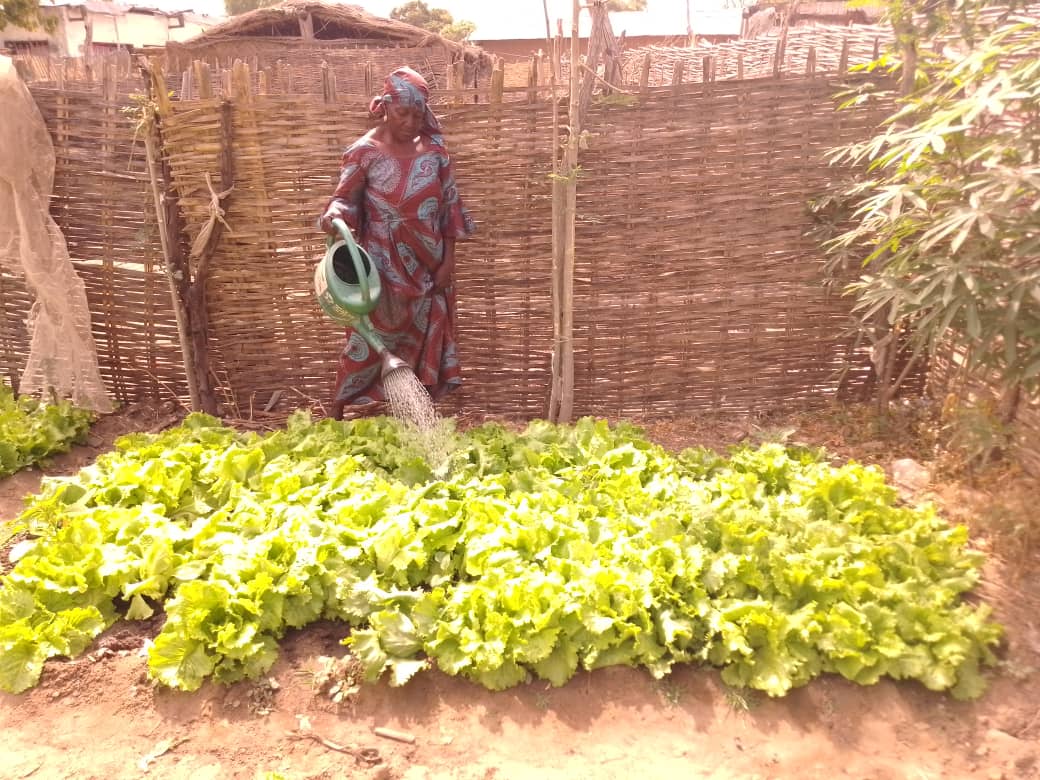 FAO en République centrafricaine tweet media