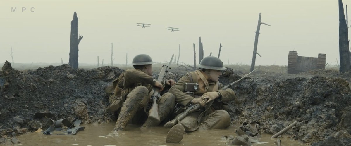 The Movie Rabbit Hole tweet media