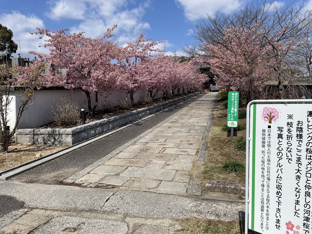 妙林寺｜岡山市街地の高台に位置する、河津桜の名所としても有名な神社【岡山市三門】 
okayamastyle.com/myorinji/

岡山市北区三門みかどにある「日蓮宗大乗山 妙林寺みょうりんじ」は、河津桜の名所として有名な岡山市街地に近いアクセスの良い立派なお寺です。