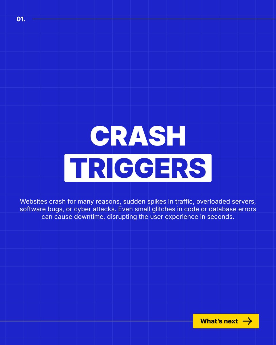 Zaio Institute of Technology tweet media