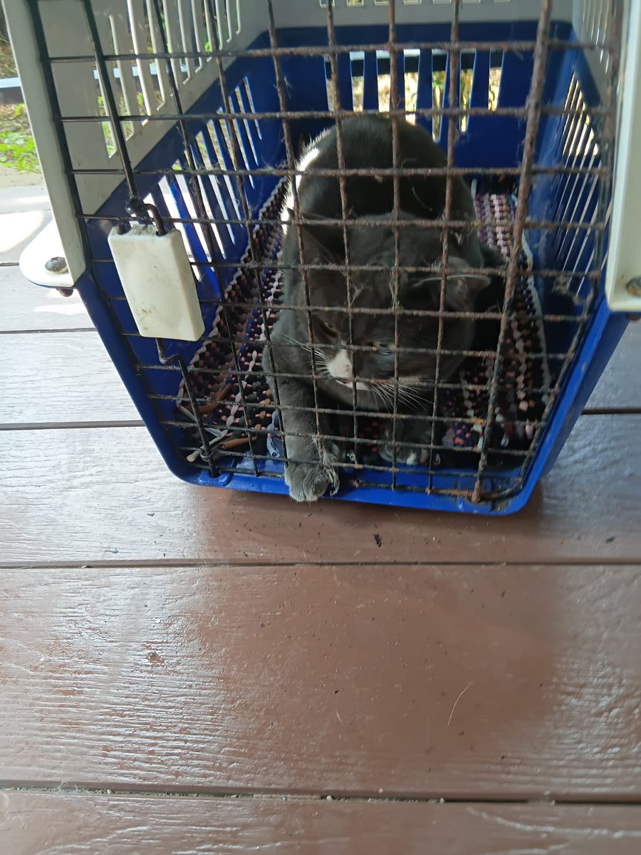 Irene 🏴󠁧󠁢󠁳󠁣󠁴󠁿 tweet media