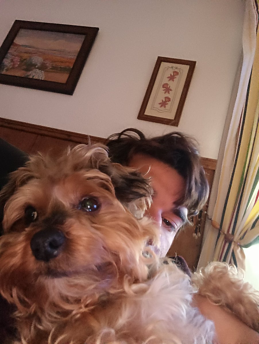 JavierDeStark's tweet photo. 🐶🐷 https://t.co/xjgyF4hlWf
