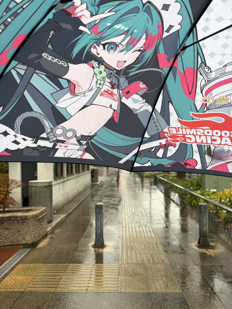 卡利米库猫 tweet media