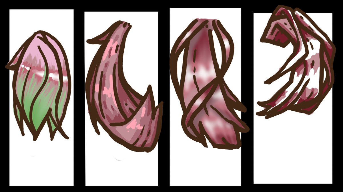 老婆餅🍪 tweet media