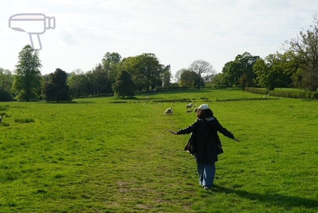 El Tomavistas. Viajando Fetén tweet media