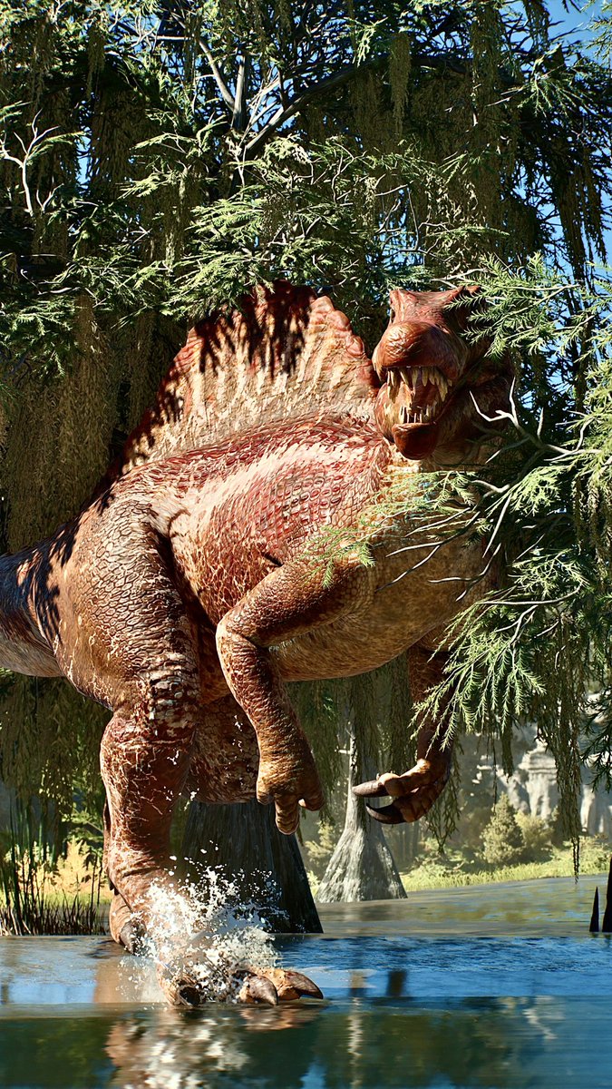 📸－FIRST－📸 tweet media