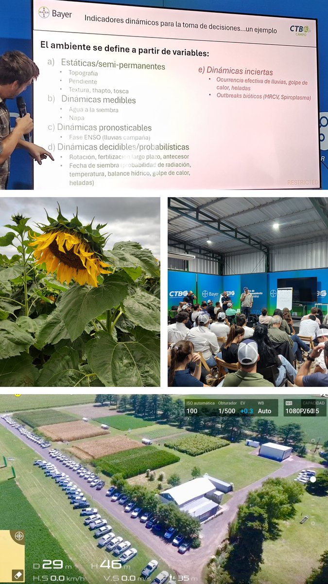 Lisandro Martino tweet media