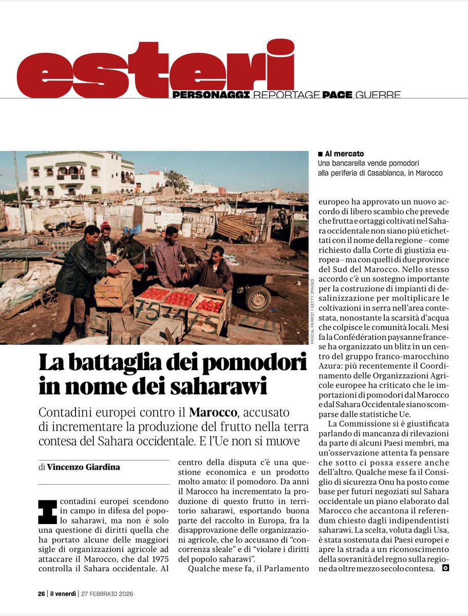 Vincenzo Giardina tweet media