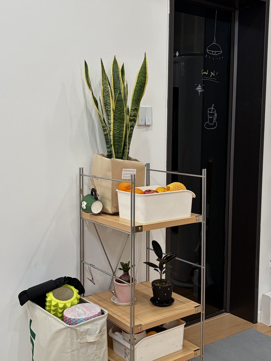 登徒子 tweet media