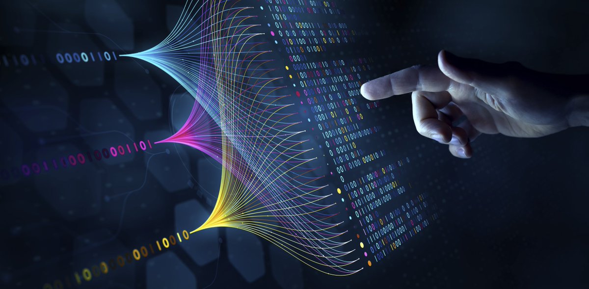 Sen. Sally Eaves tweet media