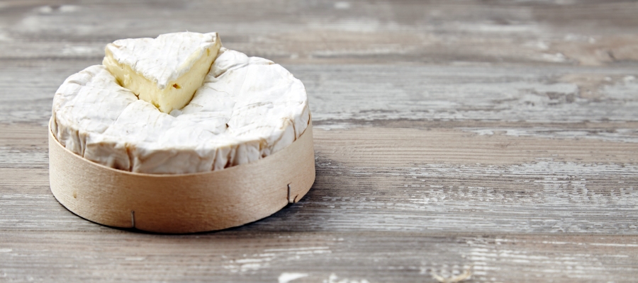 Buenas prácticas para la seguridad alimentaria de los quesos con leche cruda. Informe de ANSES.
▶️higieneambiental.com/quesos-con-lec…
#seguridadalimentaria #higienealimentaria #listeria