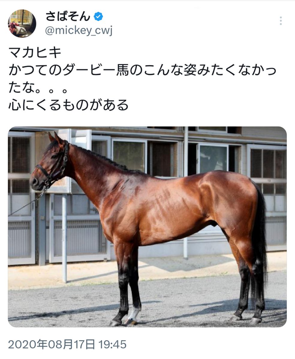 さばそん tweet media